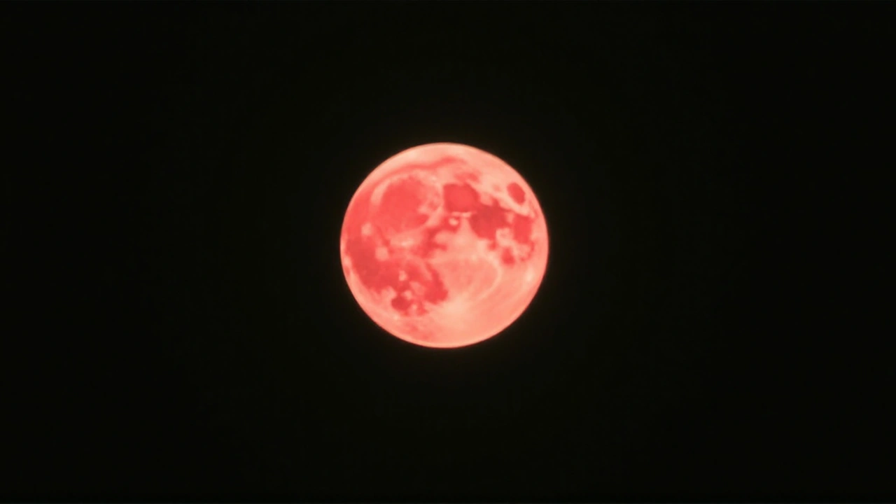Mikroměsíc Pink Full Moon: Neobvyklá úplněk ozáří oblohu v noci z 12. na 13. dubna 2025