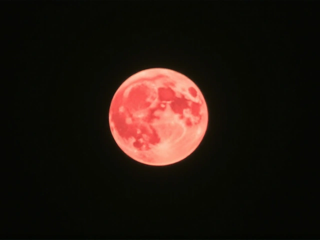 Mikroměsíc Pink Full Moon: Neobvyklá úplněk ozáří oblohu v noci z 12. na 13. dubna 2025