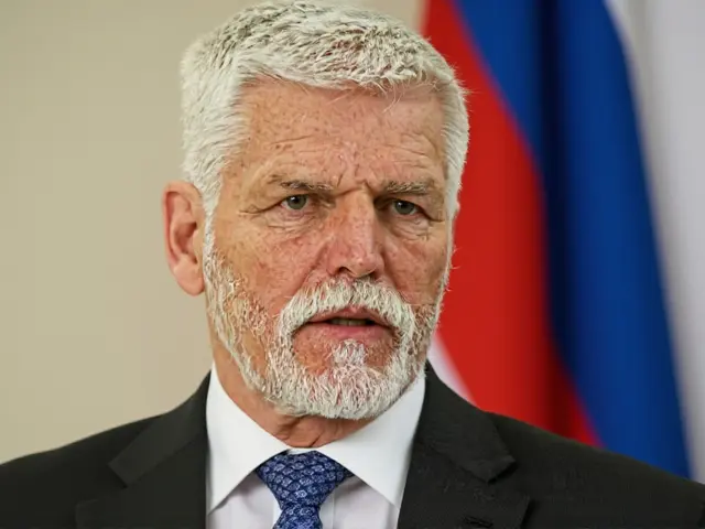 Spor o NATO: Pavel vs. Babiš, Ústavní soud zasáhl