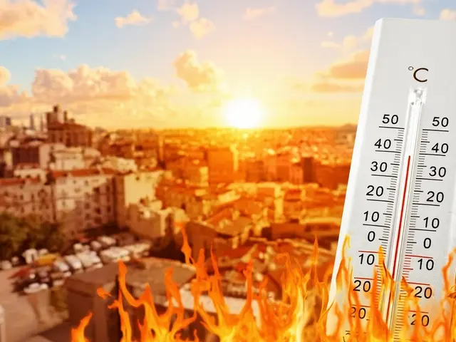 Tropy se vrací: Česko čeká až 40 °C a vědci varují před expanzí horka
