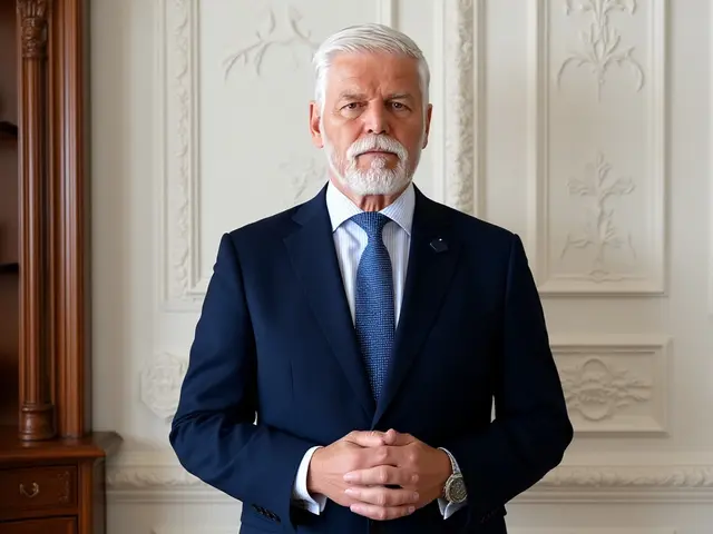 Ústavní soud nařídil: Babišova vláda musí vzít Pavla do Ankary