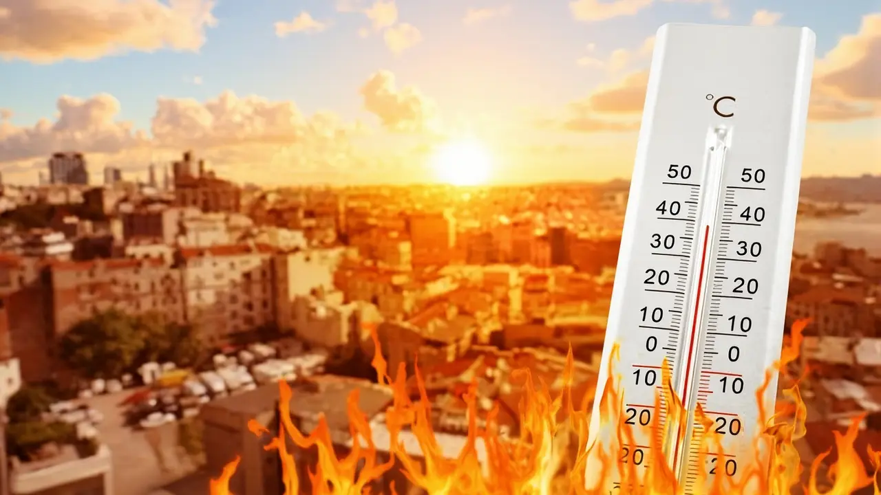 Tropy se vrací: Česko čeká až 40 °C a vědci varují před expanzí horka