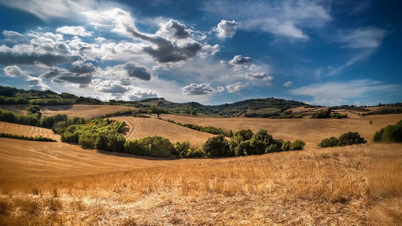 Česko čelí rekordním vedrům: V pátek padne hranice 40 °C