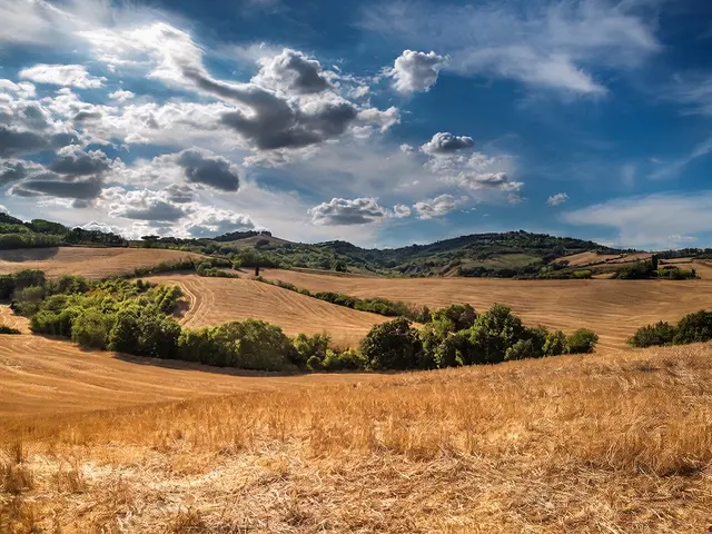 Česko čelí rekordním vedrům: V pátek padne hranice 40 °C